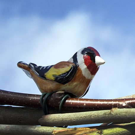 A small, colourful bird with a red, black, and yellow plumage perched on branches.