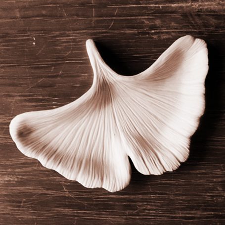 A ceramic dish shaped like a ginkgo leaf, with detailed vein patterns.